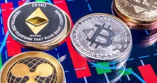 Simak yuk! Panduan Pemula untuk Berinvestasi dalam Cryptocurrency