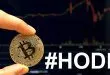 5 Tips untuk Hodling Kripto Supaya Cuan Besar