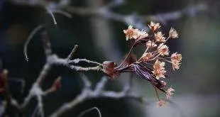 Kebaikan Menggunakan Aplikasi Mobile: Bagaimana Teknologi SDA Membuatnya Lebih Mudah