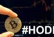 5 Tips untuk Hodling Kripto Supaya Cuan Besar
